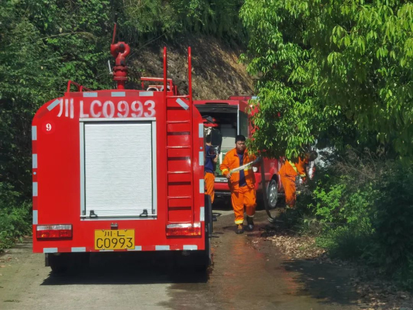 ɭ�ַ��������3