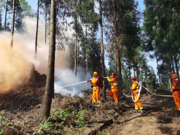 ɭ�ַ��������2