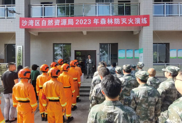 ɭ�ַ��������