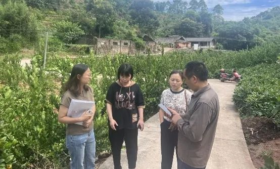 ��ΪȺ�ڰ�ʵ��ح��ν��ҵ֮����ɳ������̽����2