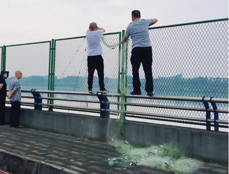 /website-webapp/ewebeditor/uploadfile/��ɫ������2