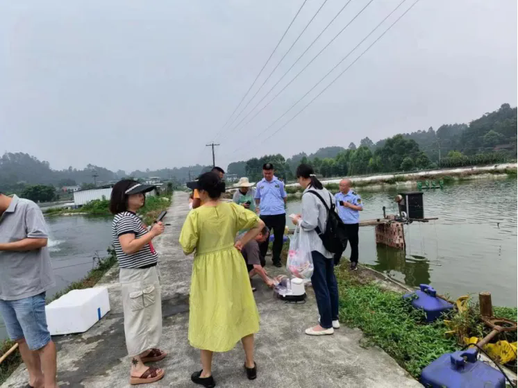 ��ɫ������3