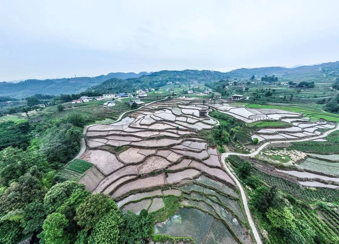 大美梯田2