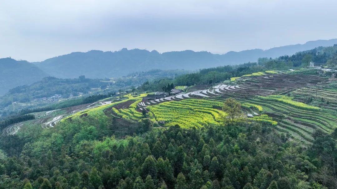 大美梯田1