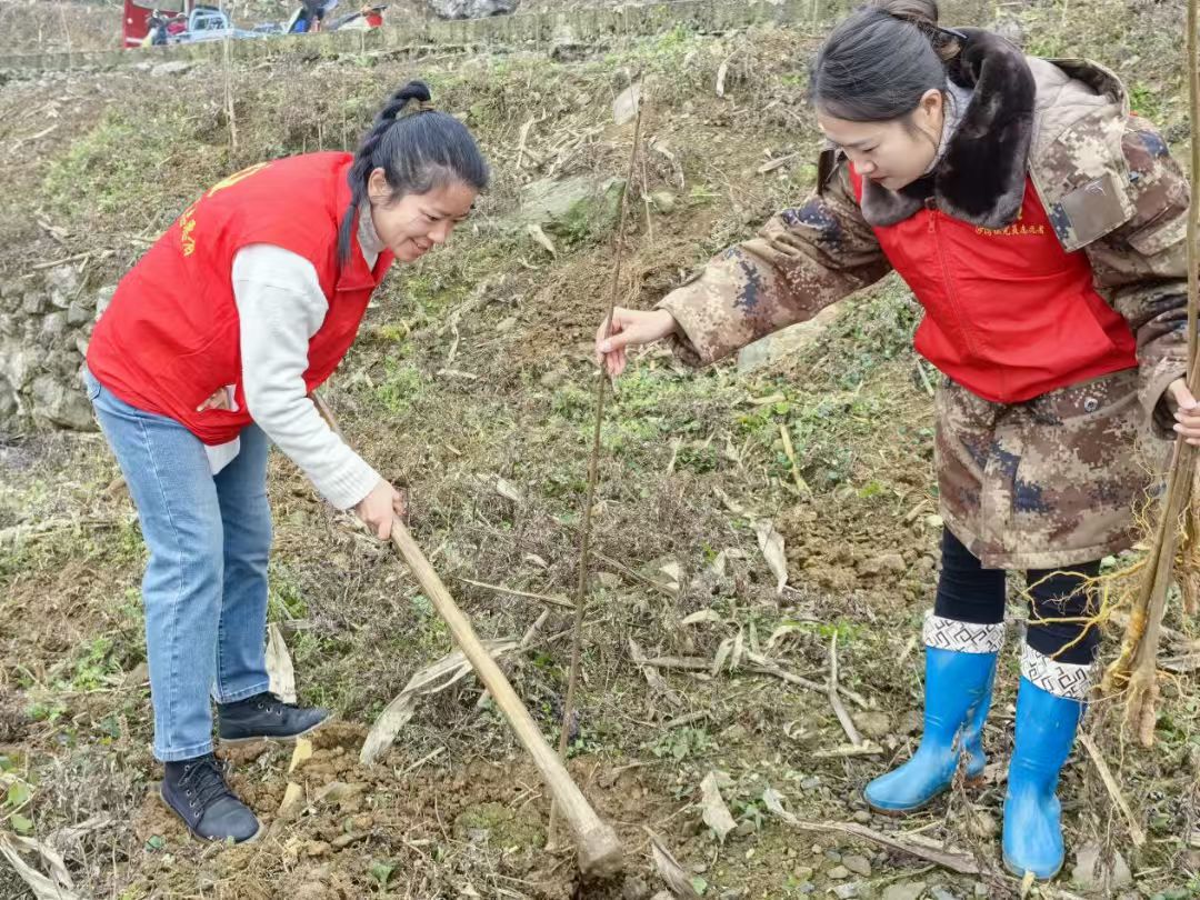 沙湾镇人大代表