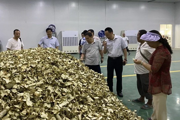 ��ҩ�Ĳ�ҵ��չ��������