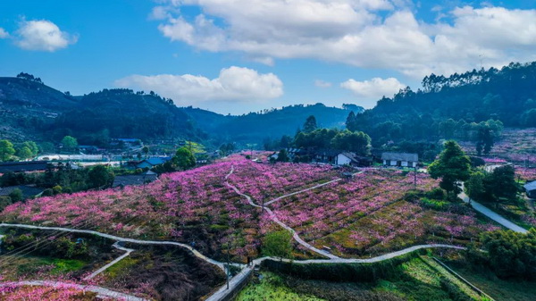 ������彡����2