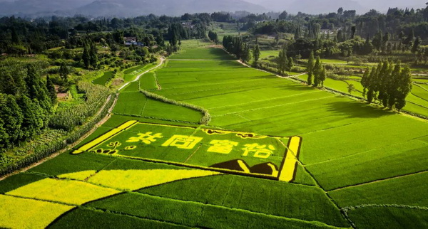 ������彡����3