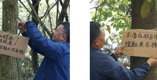 ����ɭ��3