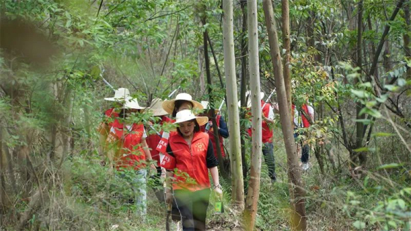 ����ɭ��2