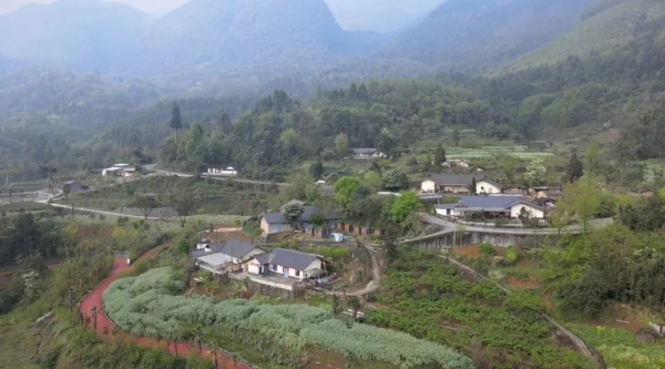 ����ɭ��