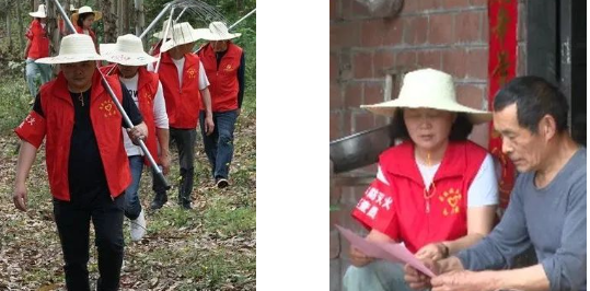 ����ɭ��4