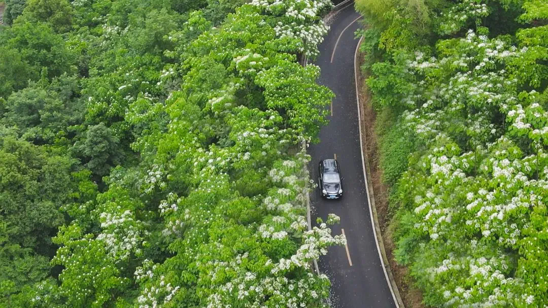 ɳ��������ɽ����·