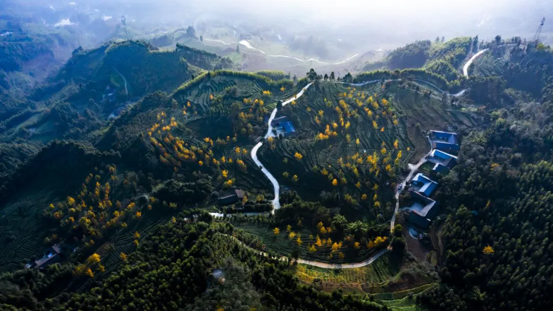 ����������ũ�幫·