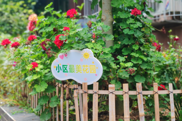 ������԰4