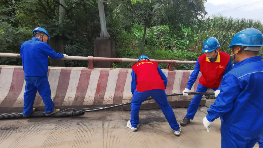 ����Ʈ��5