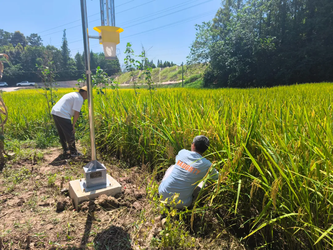 ����Ʈ��3