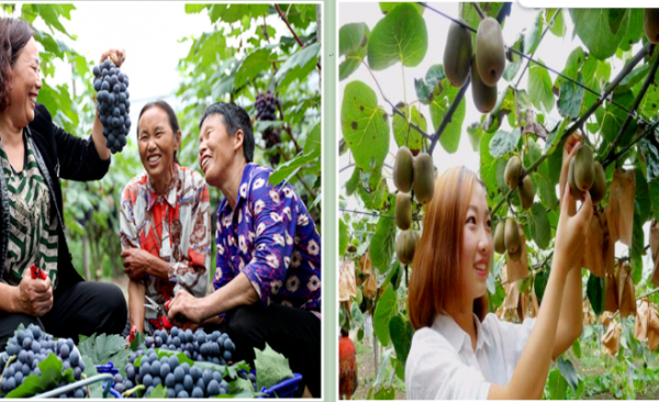 ��Ϫ��˫ɽ��4