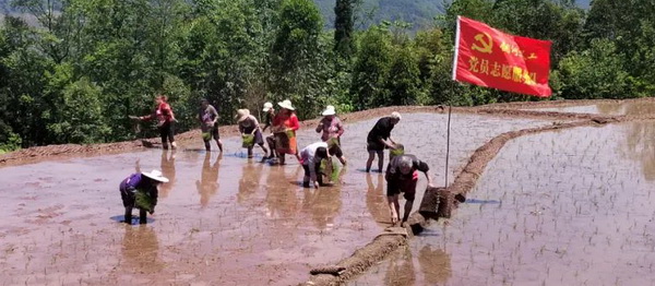 ��Ա�����