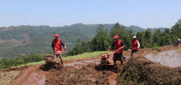 ��Ա�����2