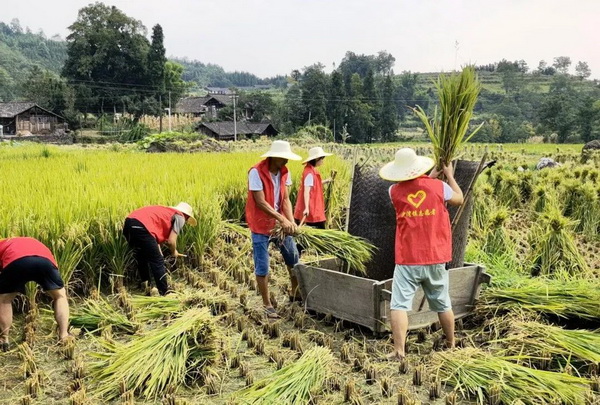 ��������æ2