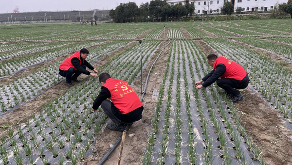 ��ũ���촺�������2