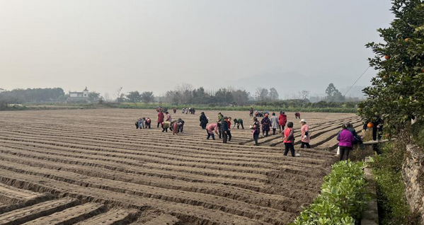 ��ũ���촺�������