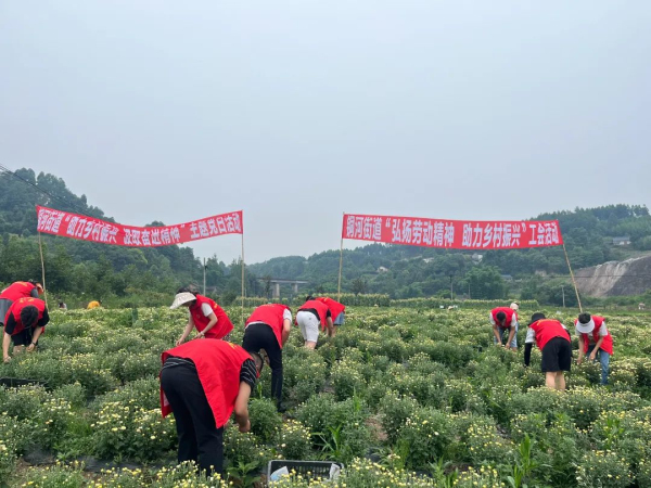 �ջ���ժ ��������æ