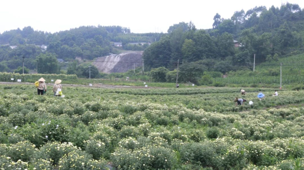 �ջ���ժ ��������æ4