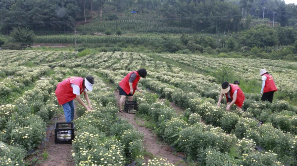 �ջ���ժ ��������æ2