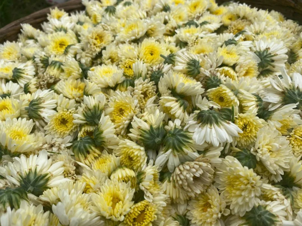 �ջ���ժ ��������æ3