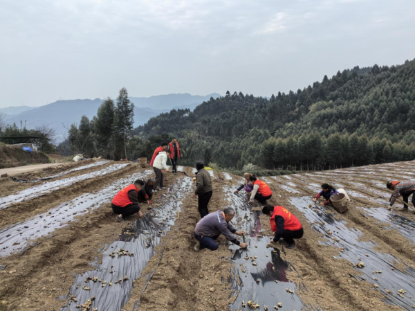 ��������2