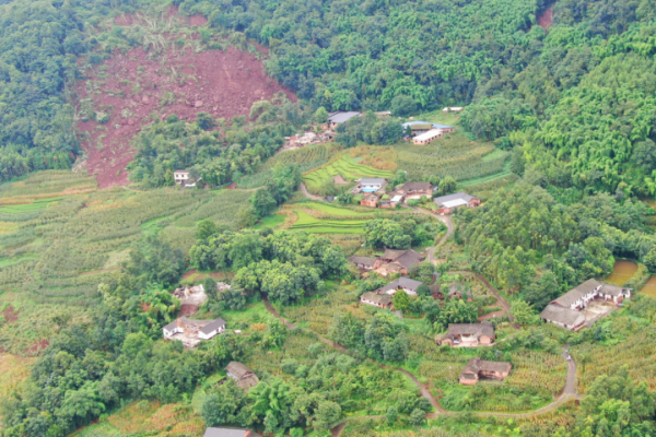 �ɹ�����