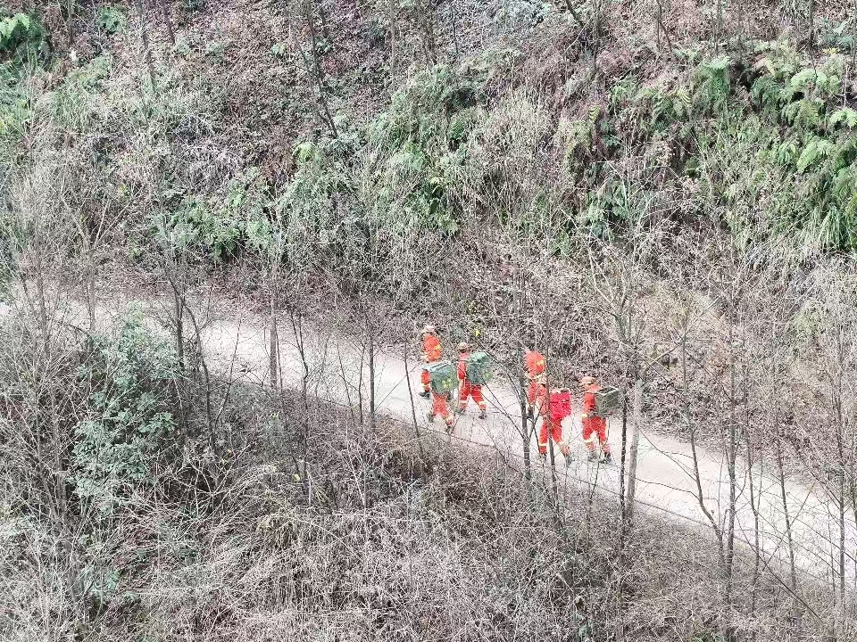 图片3