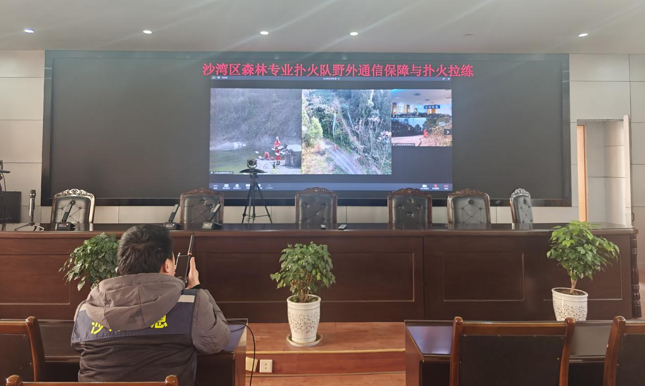 图片1