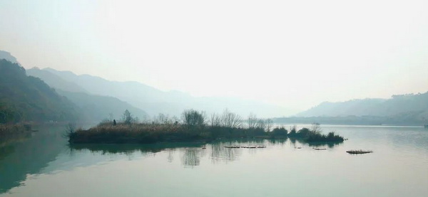 小鷿鷈和绿头鸭在沙湾电站库区打卡嬉戏2