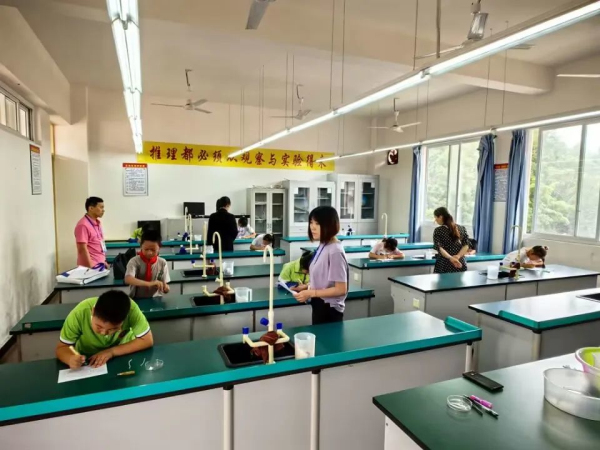 学科素养检查4