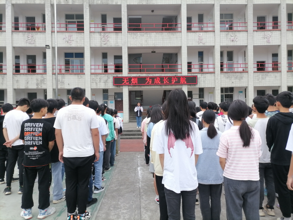 沙湾区各学校开展2