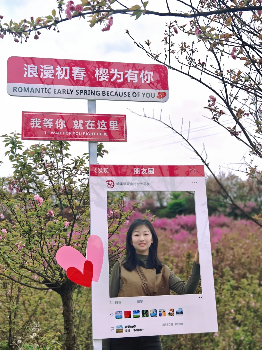 樱花7