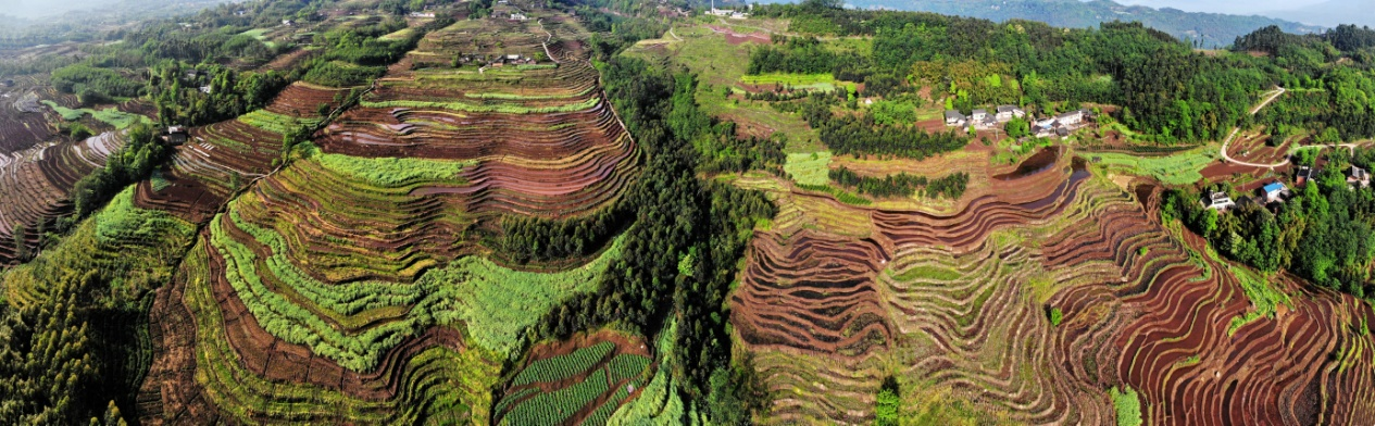 梯田