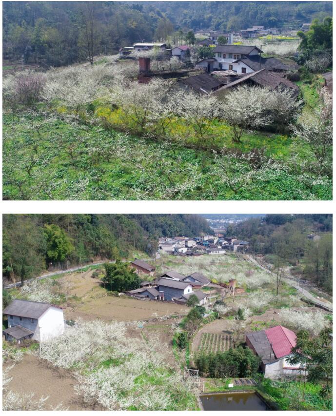 沙湾这条短途游线路