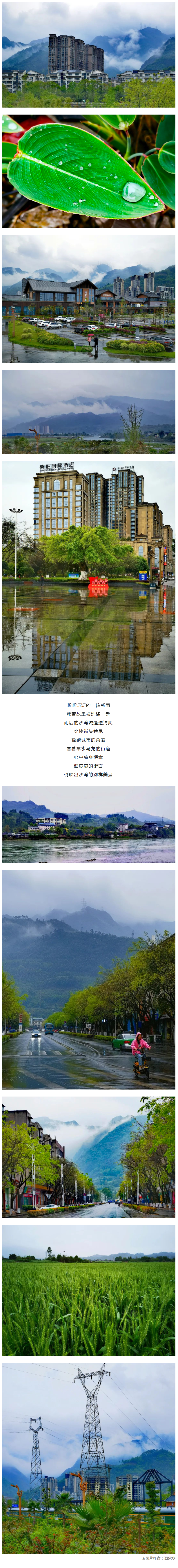 沙湾区新雨