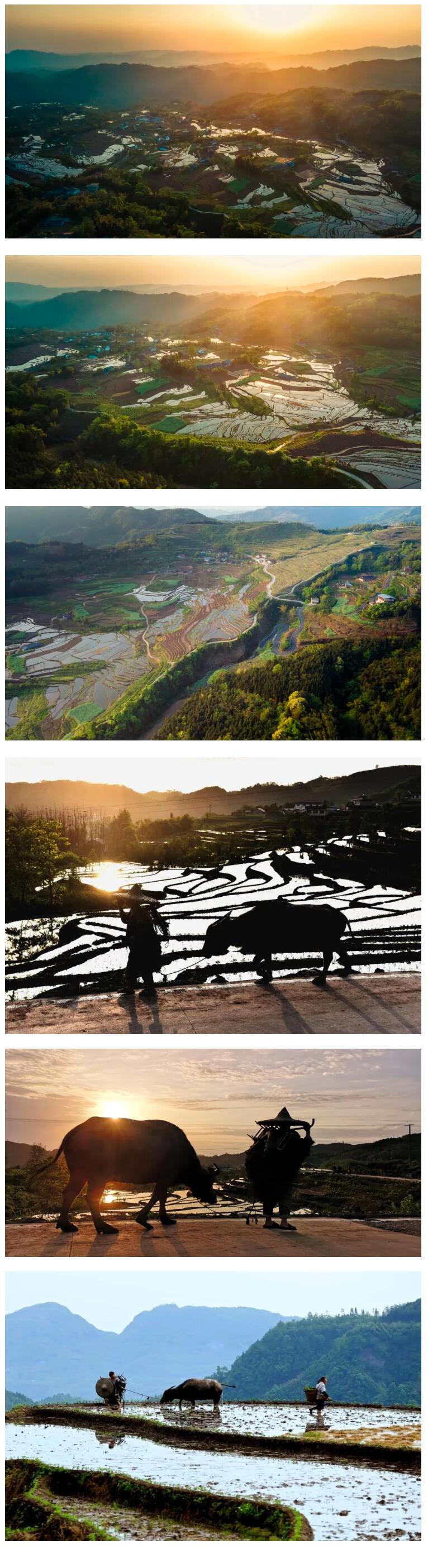 QQ截图20230421150311