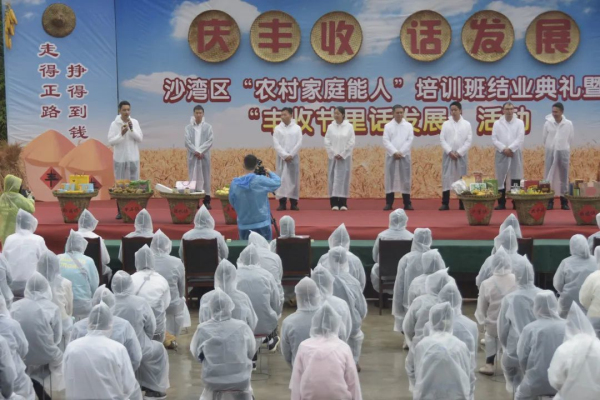 村级集体经济发展3