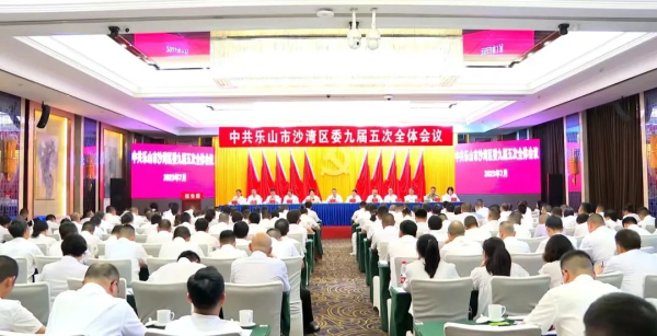学习贯彻区委九届五次全会精神