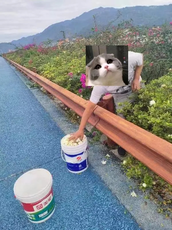 嘉农4