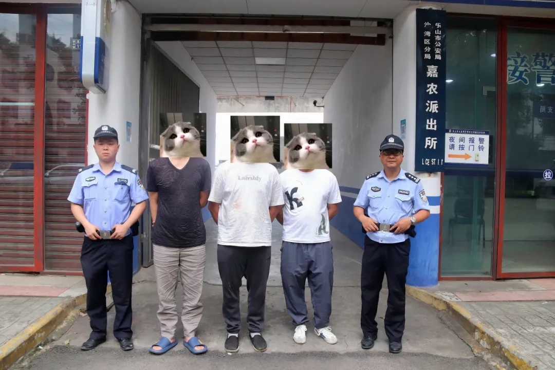 嘉农1